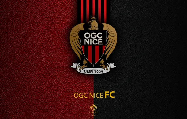 Wallpaper, sport, logo, football, Ligue 1, OGC Nice