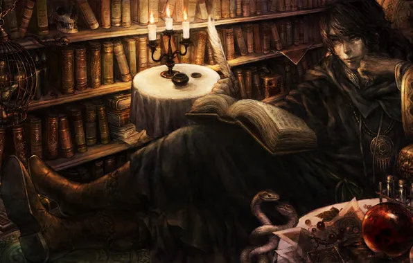 Картинка book, candles, books, feather, library, poet, dragon crown
