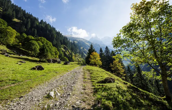 Картинка лес, лето, небо, деревья, горы, тропа, Германия, Бавария