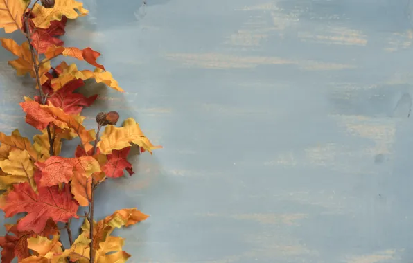 Осень, листья, фон, доски, colorful, wood, background, autumn
