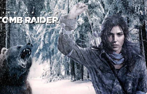 Лес, взгляд, снег, деревья, логотип, медведь, стрелы, lara croft