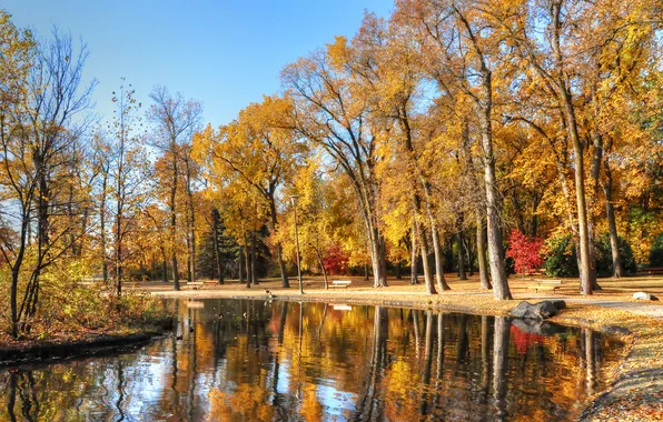 Картинка осень, небо, деревья, пруд, парк, камень, скамья