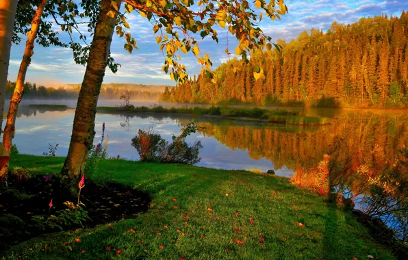 Картинка осень, деревья, пейзаж, природа, туман, озеро, Канада, берёзы