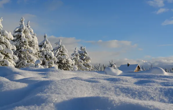 Картинка зима, небо, снег, деревья, пейзаж, природа, ели, домик