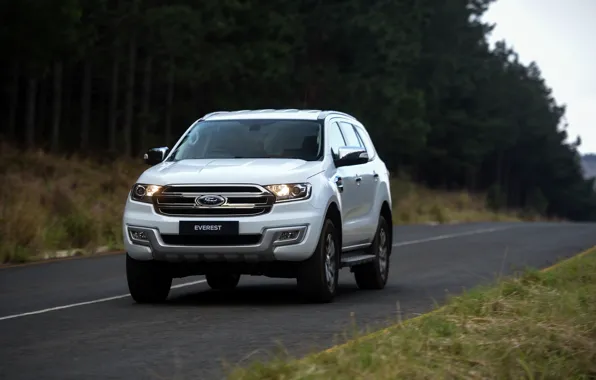 Картинка Ford, Everest, на дороге, 2015, XLT