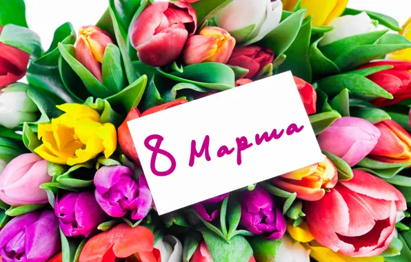 Букет, colorful, тюльпаны, love, fresh, 8 марта, flowers, romantic