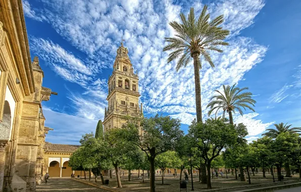 Картинка Mezquita de Córdoba - The mosque of Cordoba, Mezquita de Córdoba, The mosque of Cordoba