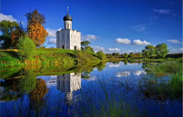 Картинка трава, вода, река, церковь, храм, покрова на нерли, pokrova na nerli