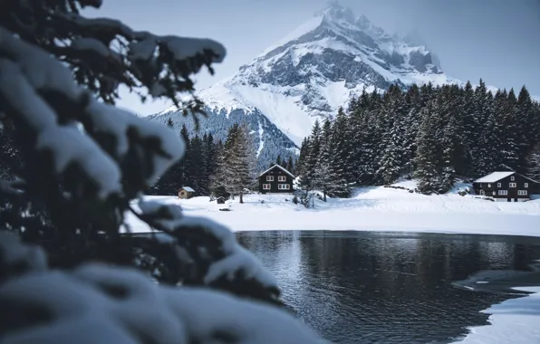 Картинка зима, снег, горы, река, дерево, гора, домик