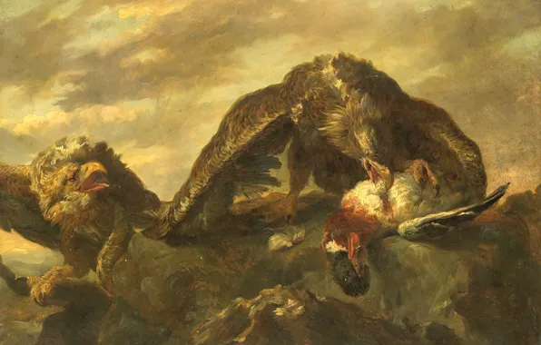 Птицы, картина, Ян Фейт, Орлы на Скалах