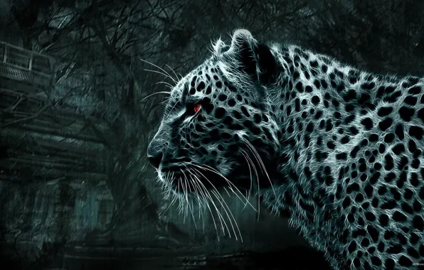 Леопард, Картинка, красные глаза, дикая кошка, смотрит, черно белая картинка