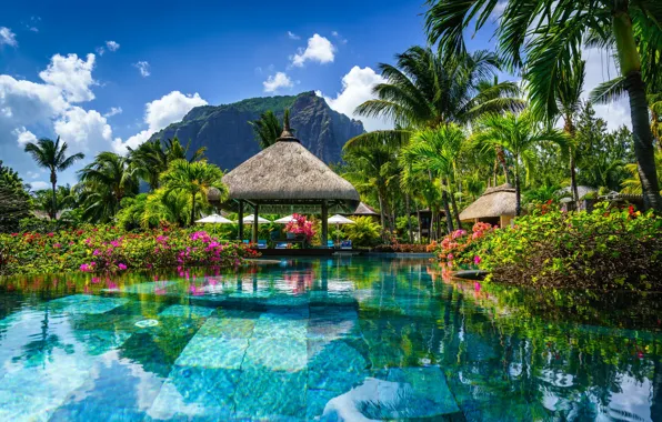 Картинка цветы, скала, пальмы, бассейн, беседка, Маврикий, Mauritius, Ле Морн
