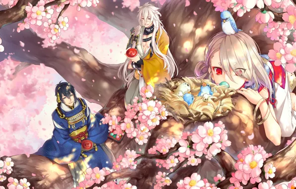 Дерево, сакура, гнездо, птички, парни, птенцы, самураи, Touken Ranbu