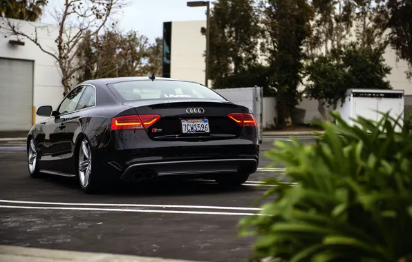 Картинка ауди, rear, black, черная, Audi