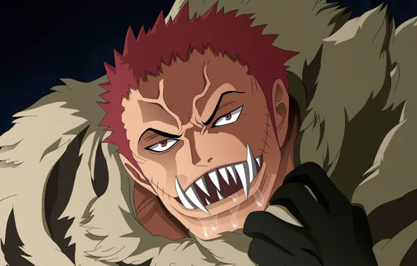 One Piece, pirate, power, fight, fang, evil, akuma no mi, kaizoku