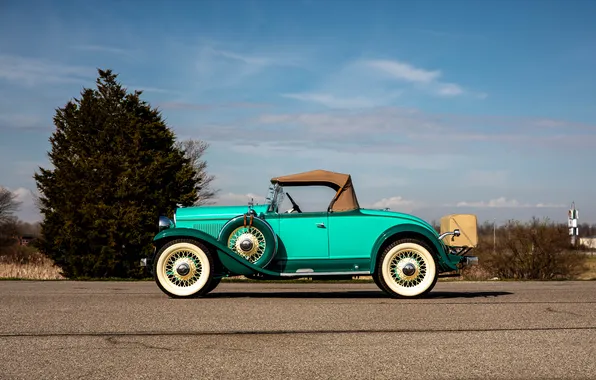 Roadster, 1931, ретро автомобили, DeSoto, Chrysler Corporation, retro cars, DeSoto Model SA