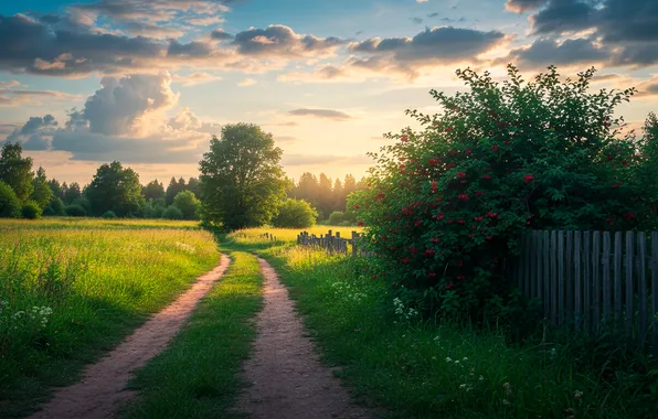 Дорога, небо, облака, обои, забор, луг, wallpaper, road