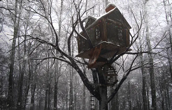 Лес, снег, деревья, постройка, Tree House