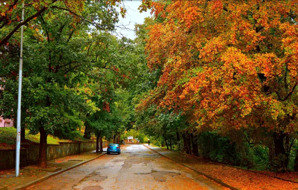 Картинка Дорога, Осень, Деревья, Машина, Car, Fall, Листва, Autumn