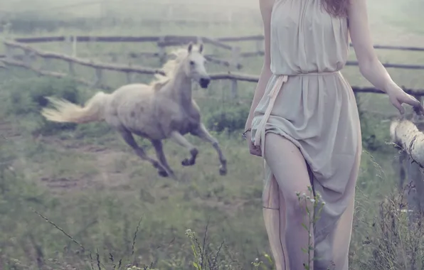 Девушка, туман, лошадь, ограда, шатенка