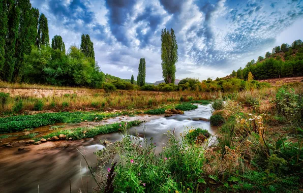 Картинка облака, деревья, простор, речка, Испания, river, trees, clouds