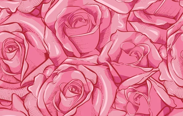 Картинка цветы, розы, розовые