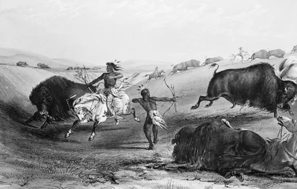 Картинка лошади, Индейцы, охота, буйволы, дикий запад