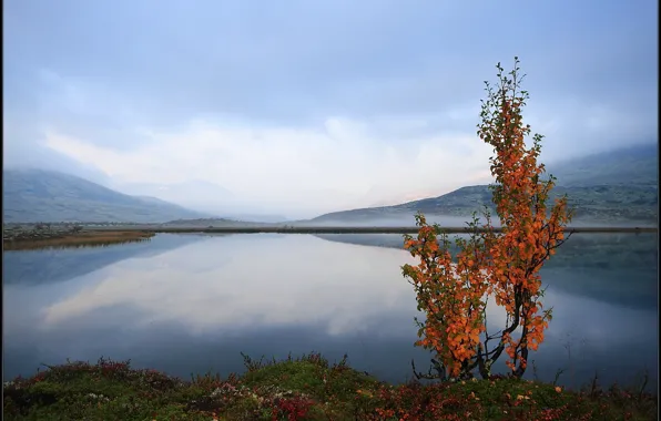 Картинка Норвегия, Norway, Hedmark Fylke, Blæsterdalen