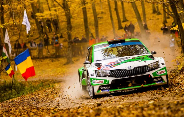 Картинка Гонщик, Автомобиль, Rally, Ралли, Škoda, Венгрия, Hungary, Шкода