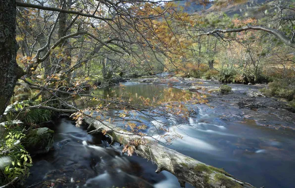 Картинка осень, деревья, река, камни, склон