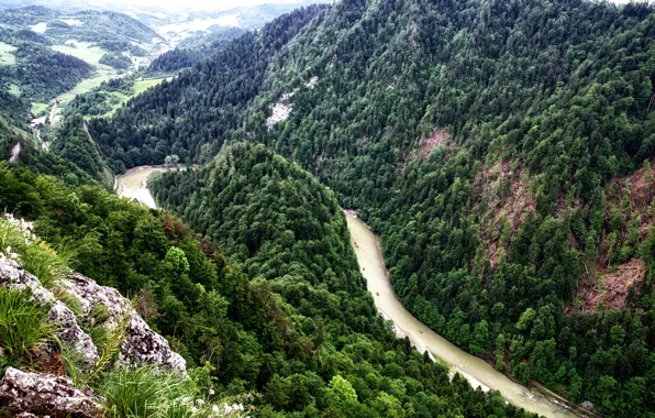 Лес, деревья, горы, река, камни, Польша, вид сверху, Kroscienko Nad Dunajcem