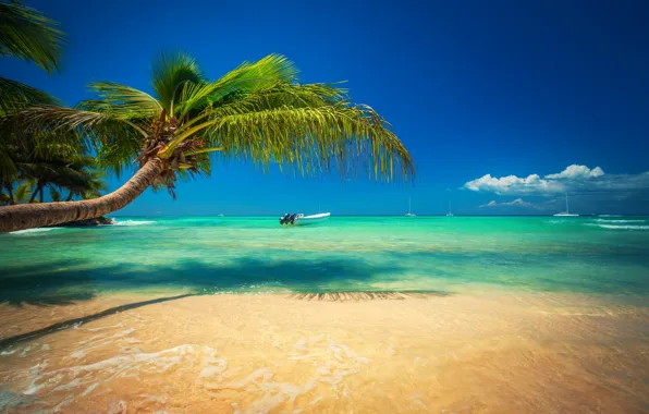 Природа, отдых, остров, islands