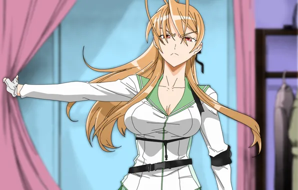 Взгляд, поза, аниме, Рэй Миямото, Школа Мертвецов, Highschool of the Dead, cериал, Academy Apocalypse