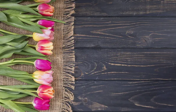 Картинка цветы, colorful, тюльпаны, розовые, wood, pink, flowers, tulips