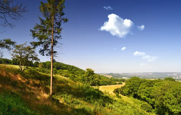 Картинка зелень, небо, трава, облака, деревья, холмы, Англия