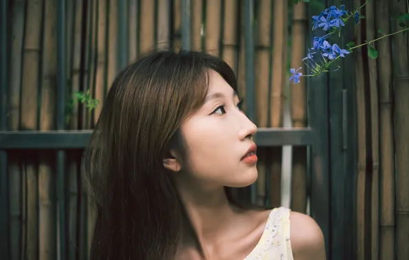Beautiful, Asian, Model, Flower, Woman, Pretty, Close Up, Fence