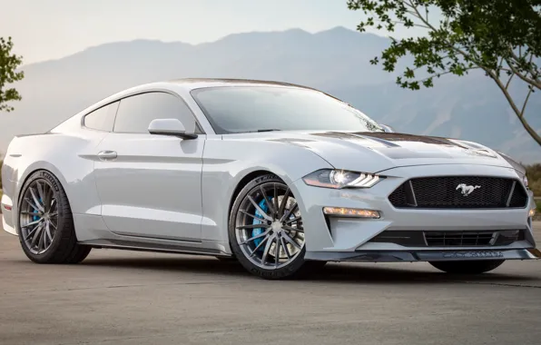 Concept, Mustang, Ford, Lithium, 2019, SEMA 2019
