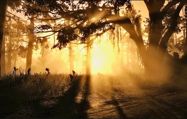 HDR, Nature, Wood, Game, Sunshine, Trees, UHD, Red Dead Redemption 2