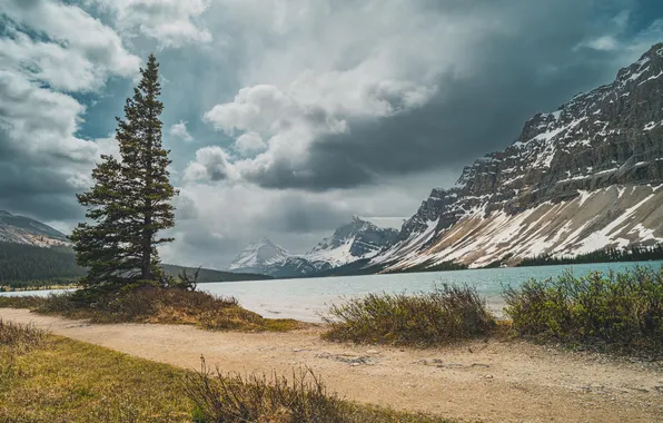 Картинка Alberta, Canada, beach, sky, trees, landscape, nature, water