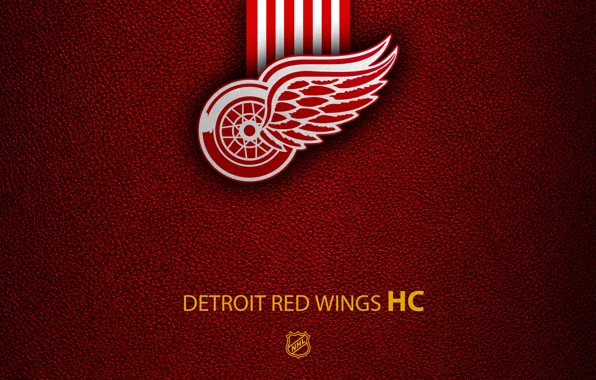 Wallpaper, sport, logo, NHL, hockey, Detroit Red Wings