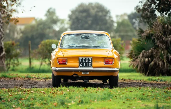 Alfa Romeo, 1967, Giulia, Alfa Romeo Giulia Sprint GT