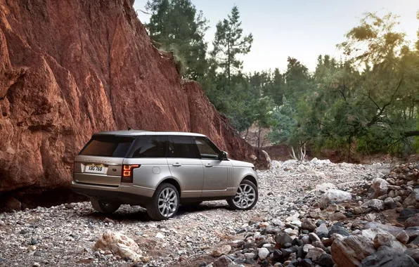 Деревья, скала, серебристый, джип, внедорожник, Land Rover, Range Rover, вид сзади