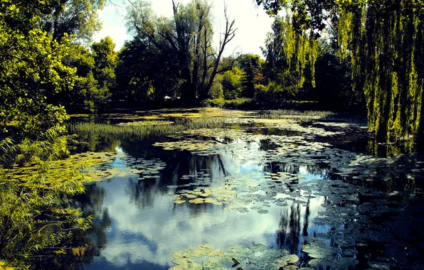 Park, lake, pond