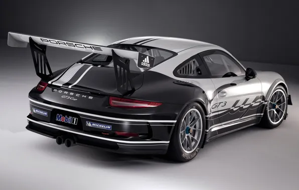 911, Porsche, 2013, GT3 Cup