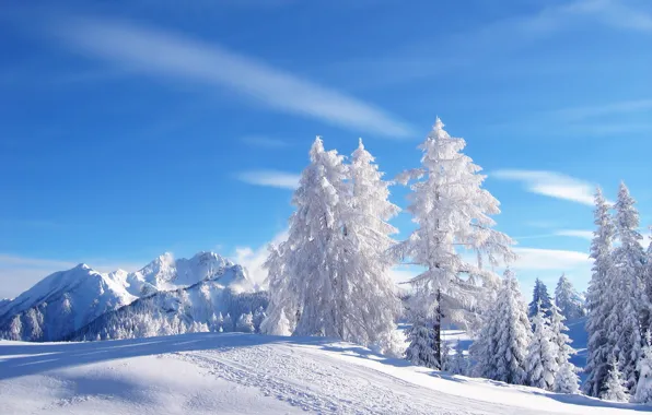 Картинка зима, небо, снег, горы, елки