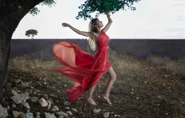 Поле, поза, дерево, настроение, модель, красное платье, лаванда, Veronika Castrillo