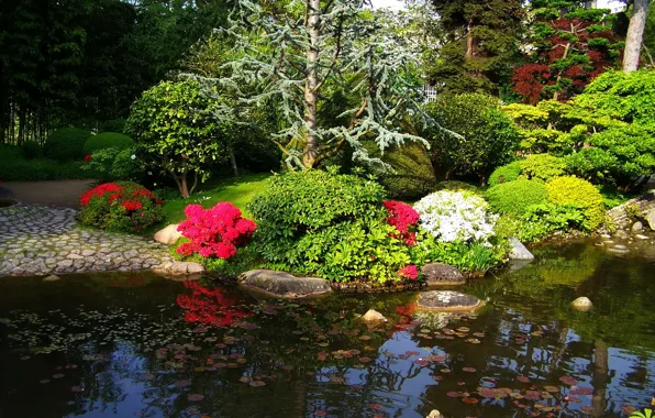 Деревья, цветы, пруд, Франция, Париж, сад, кусты, Albert-Kahn Japanese gardens