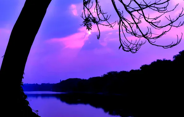 Sun, Water, Sunrise, Dawn, Morning, Lake, Trees, Reflection