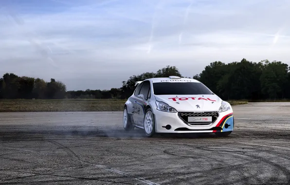 Авто, асфальт, спорт, чемпионат, Peugeot 208 T16, моторспорт