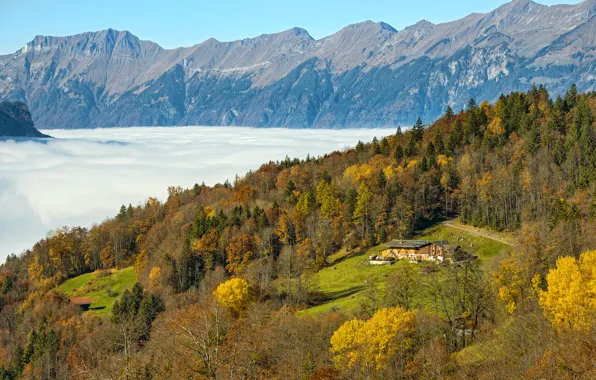 Картинка осень, лес, солнце, облака, деревья, горы, поляна, Швейцария